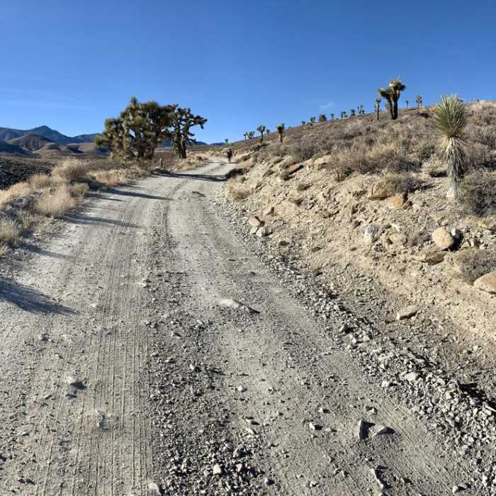 Near Cerro Gordo Ghost Town via Saline Valley Road