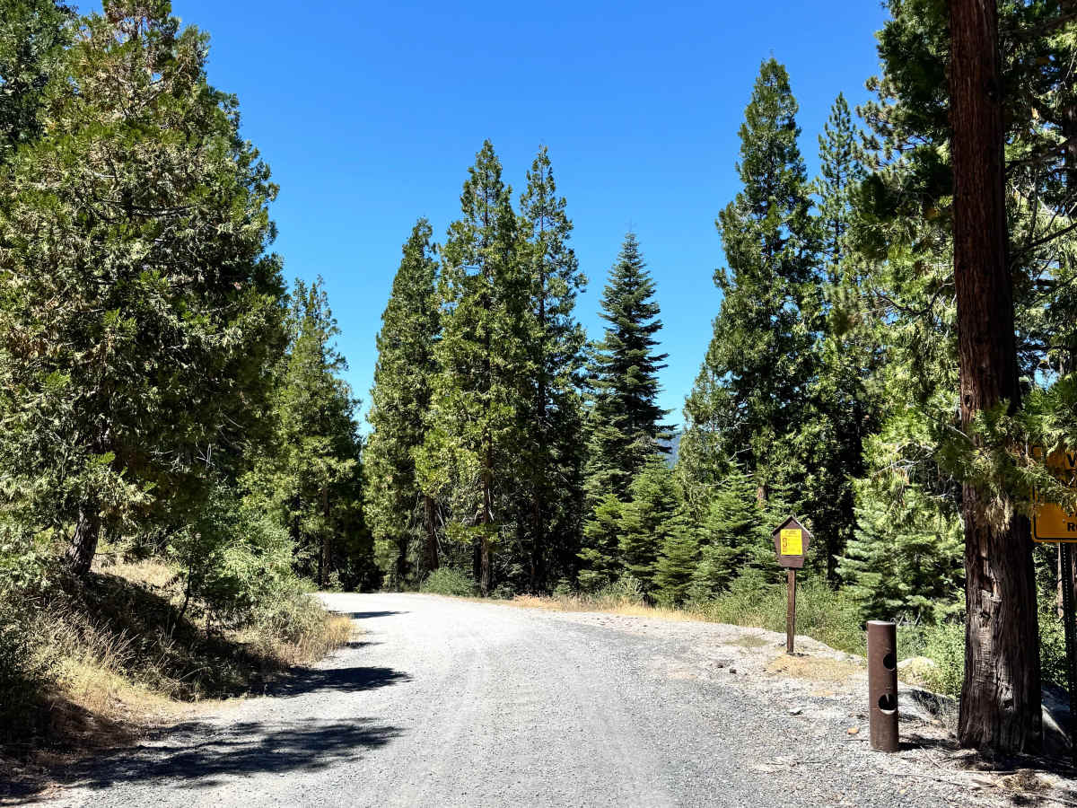 Hells Half Acre Road - FS 5N95 trail photo