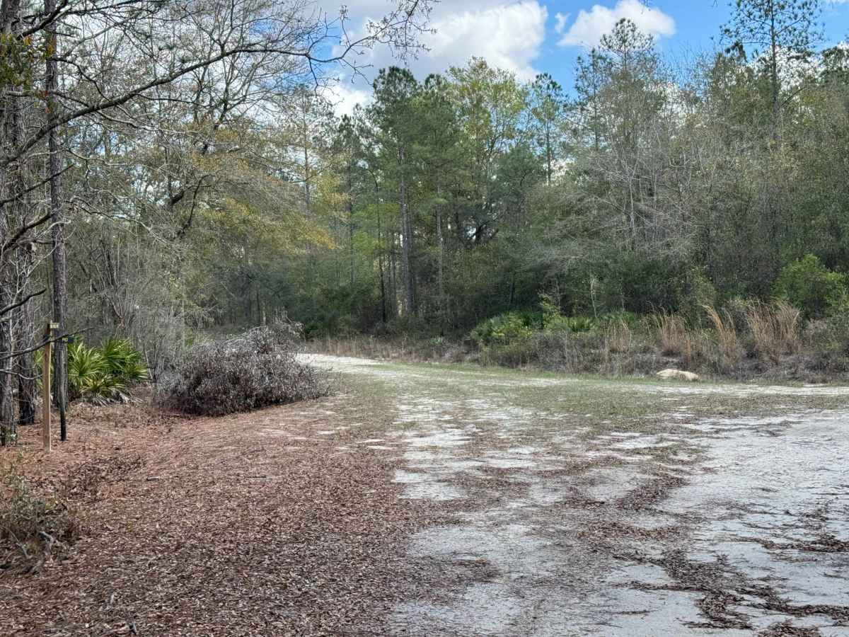 Ole Hell Road photo 5