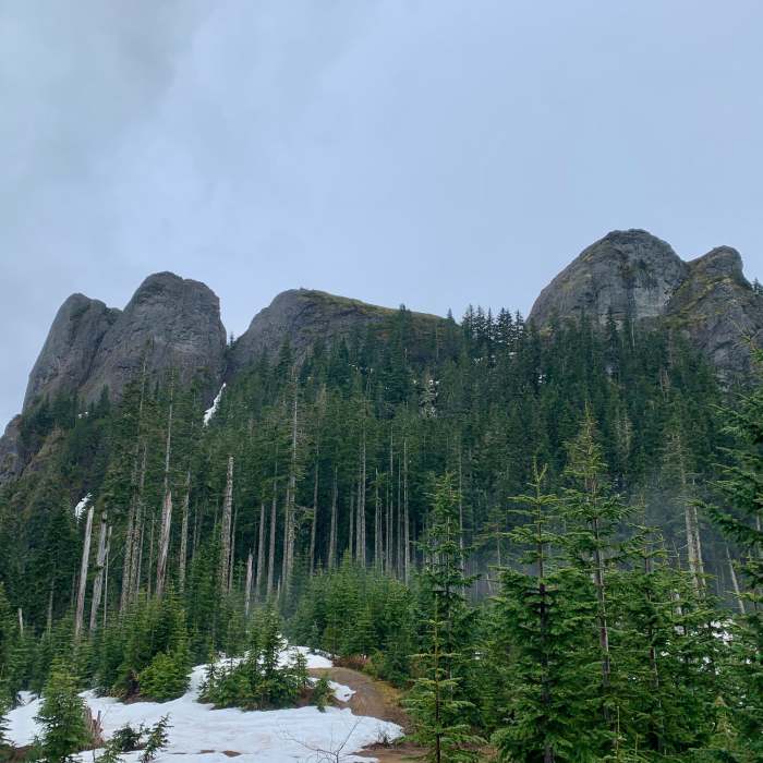 Near Osborne Mountain Trail