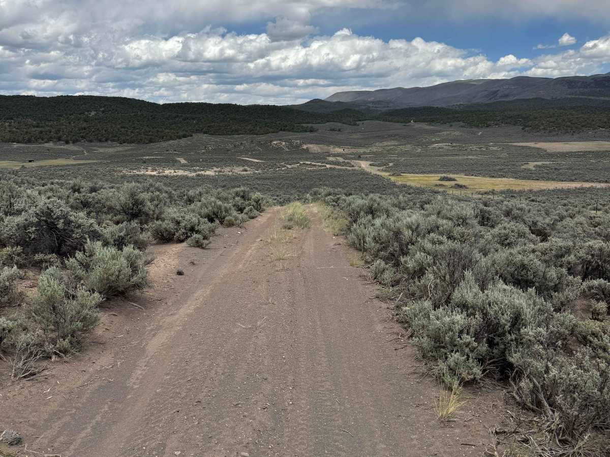 BLM 8473C photo 4