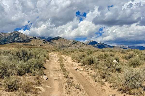 Thompson Creek - FS 57509