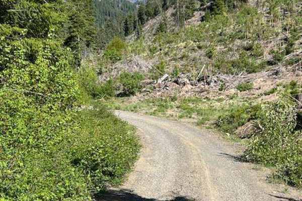 Scotty Creek Road - FS 7324