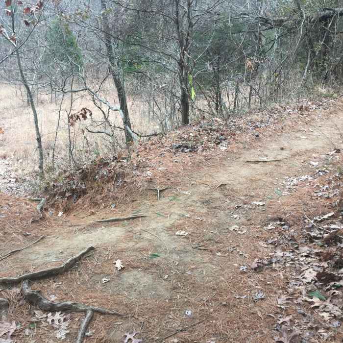 Near Indian Point Loop Trail