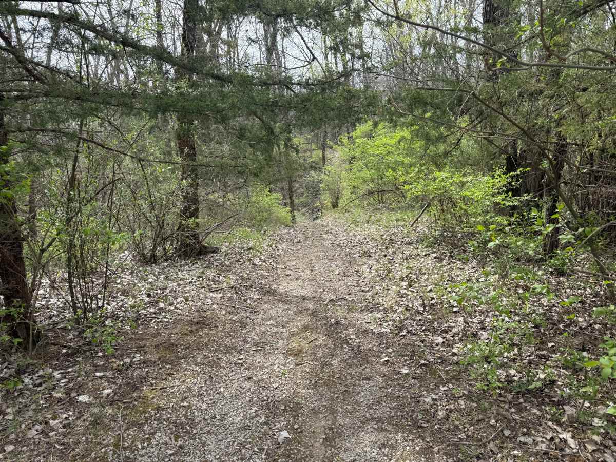 Hillclimb Trail  photo 4