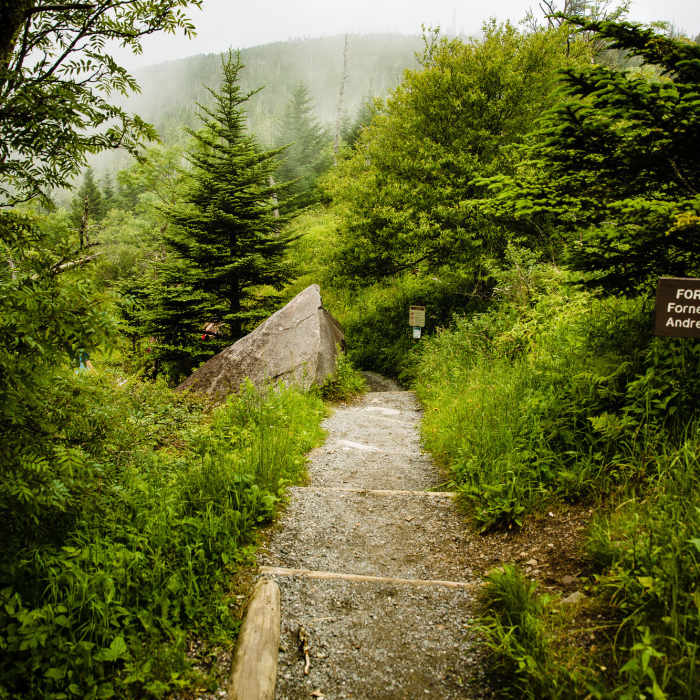 Kuwohi (fka Clingmans Dome) Hiking Trail | Map, Difficulty