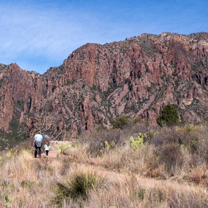 Near Chisos Mountain Loop