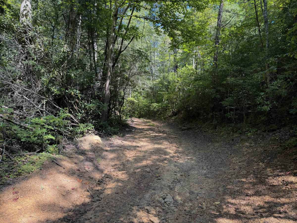Muse Hollow Trail photo 4