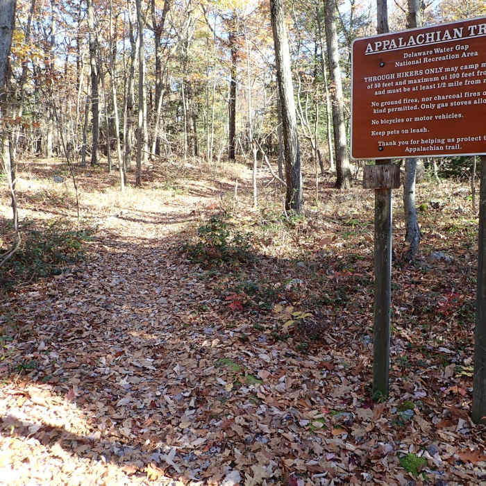 Near Appalachian Trail - Stokes S.F. South Near Appalachian Trail - Stokes S.F. South