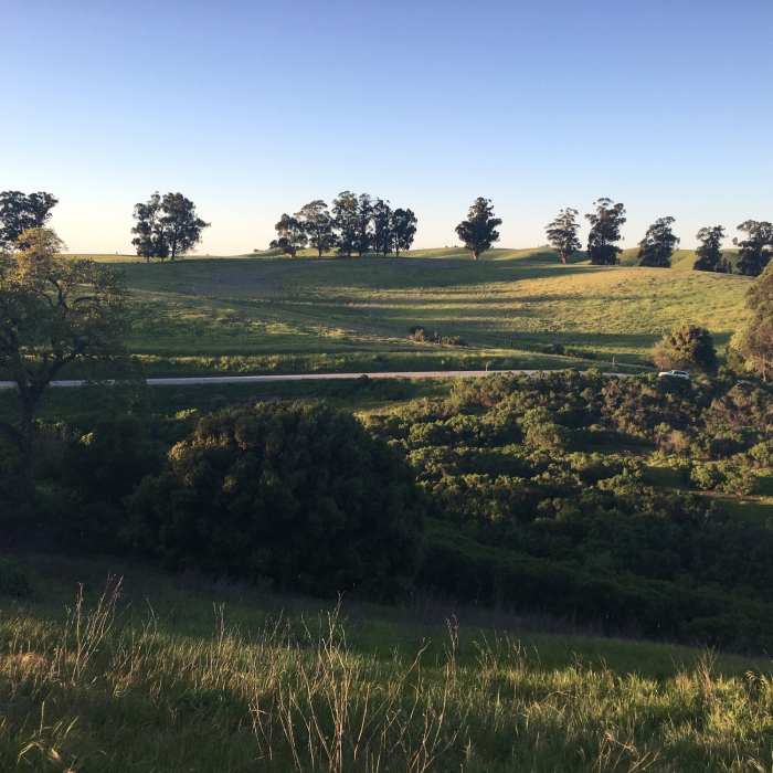 Near Redtail Loop