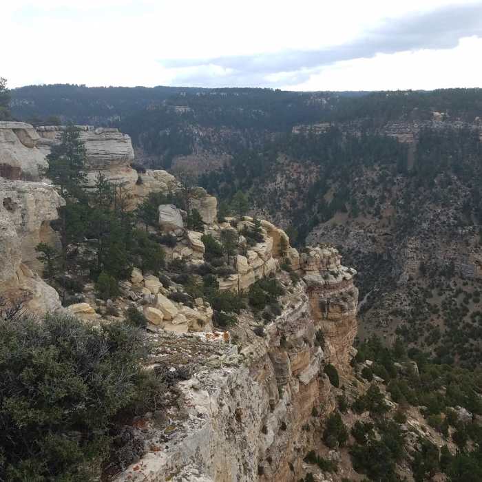 Near Salt Lick Loop Trail