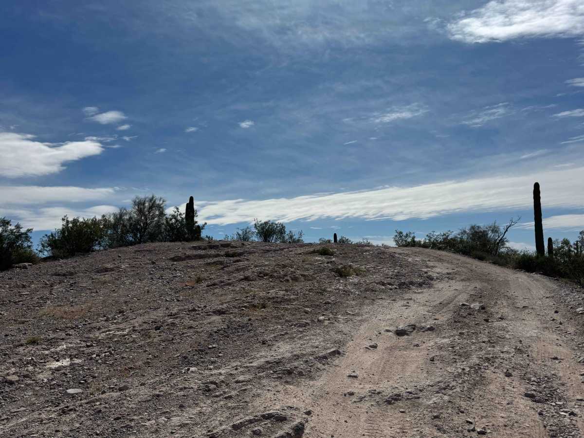 Pleasant Burro Drive photo 2