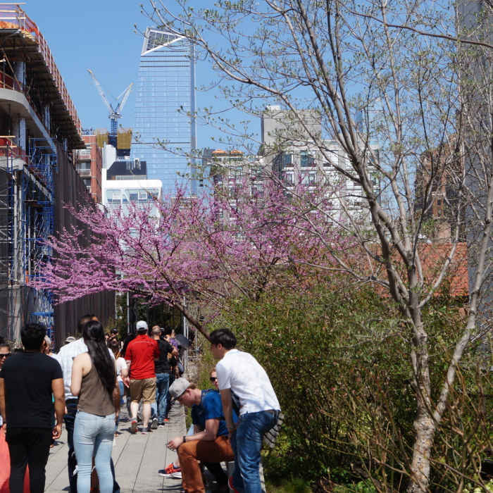 Near The High Line