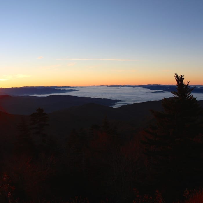 Good morning, Great Smokies! Near Andrews Bald Out and Back
