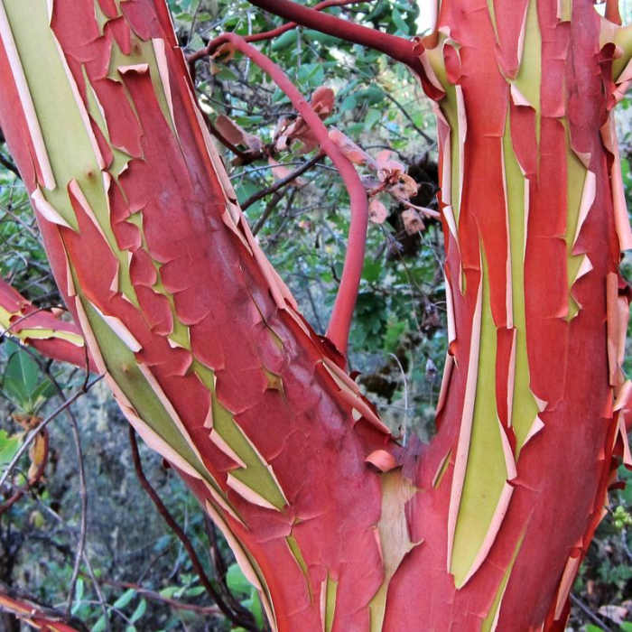 Near Lower Table Rock Hike