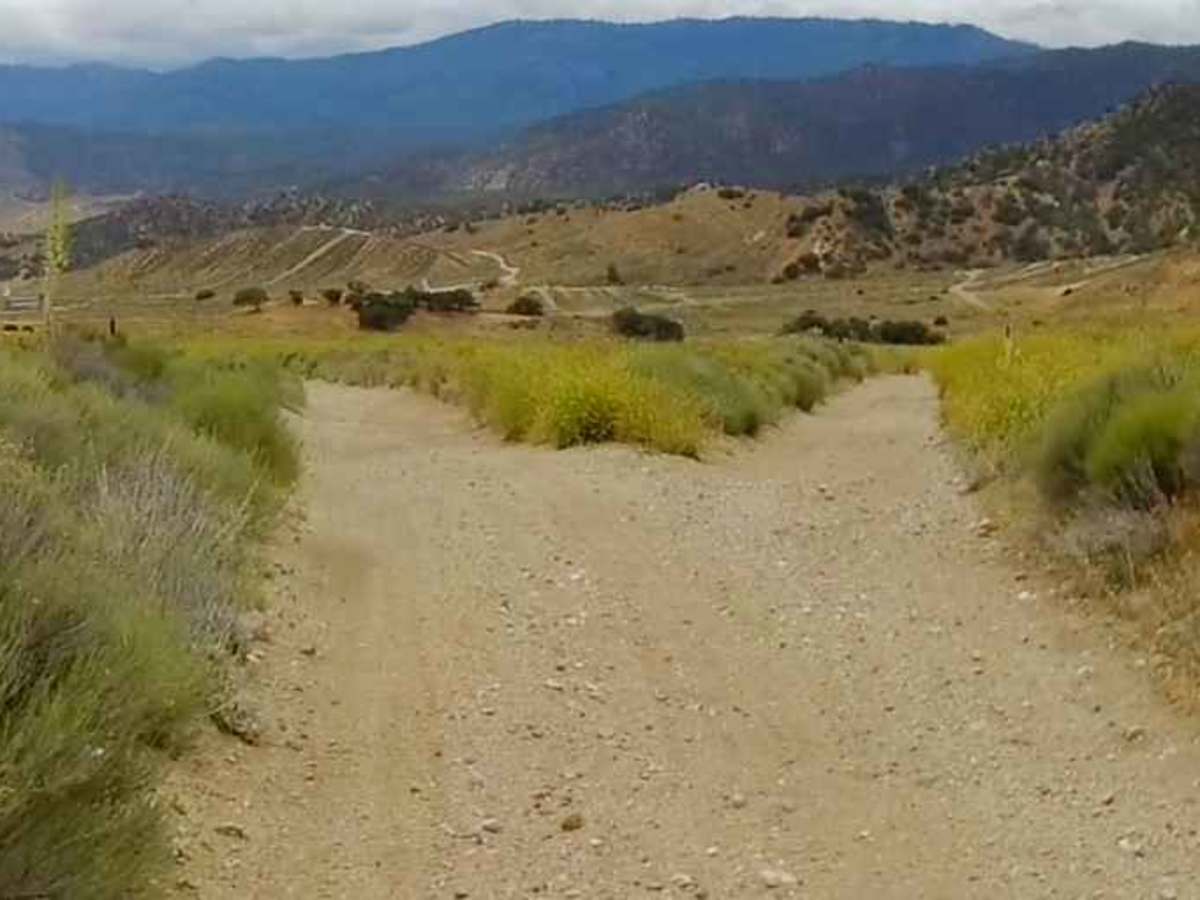 Edison Canyon Trail photo 4