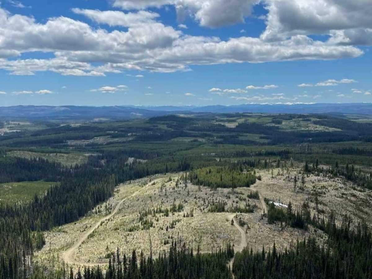 Rim Trail to Greenstone Lookout trail photo