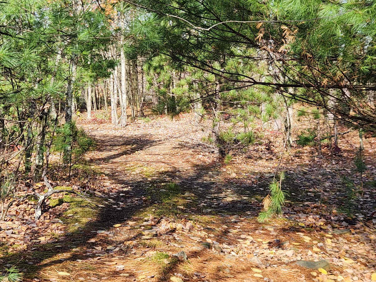 OHV 3 - Rock Run Recreation Area photo 6