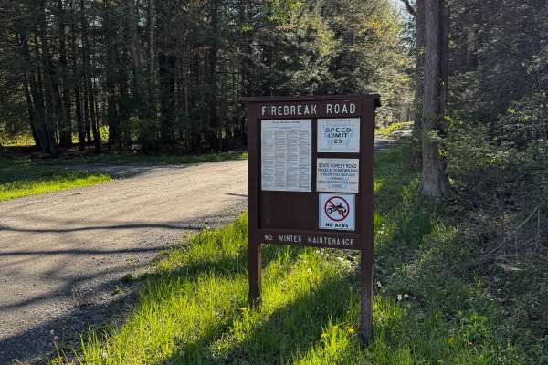 Firebreak Road