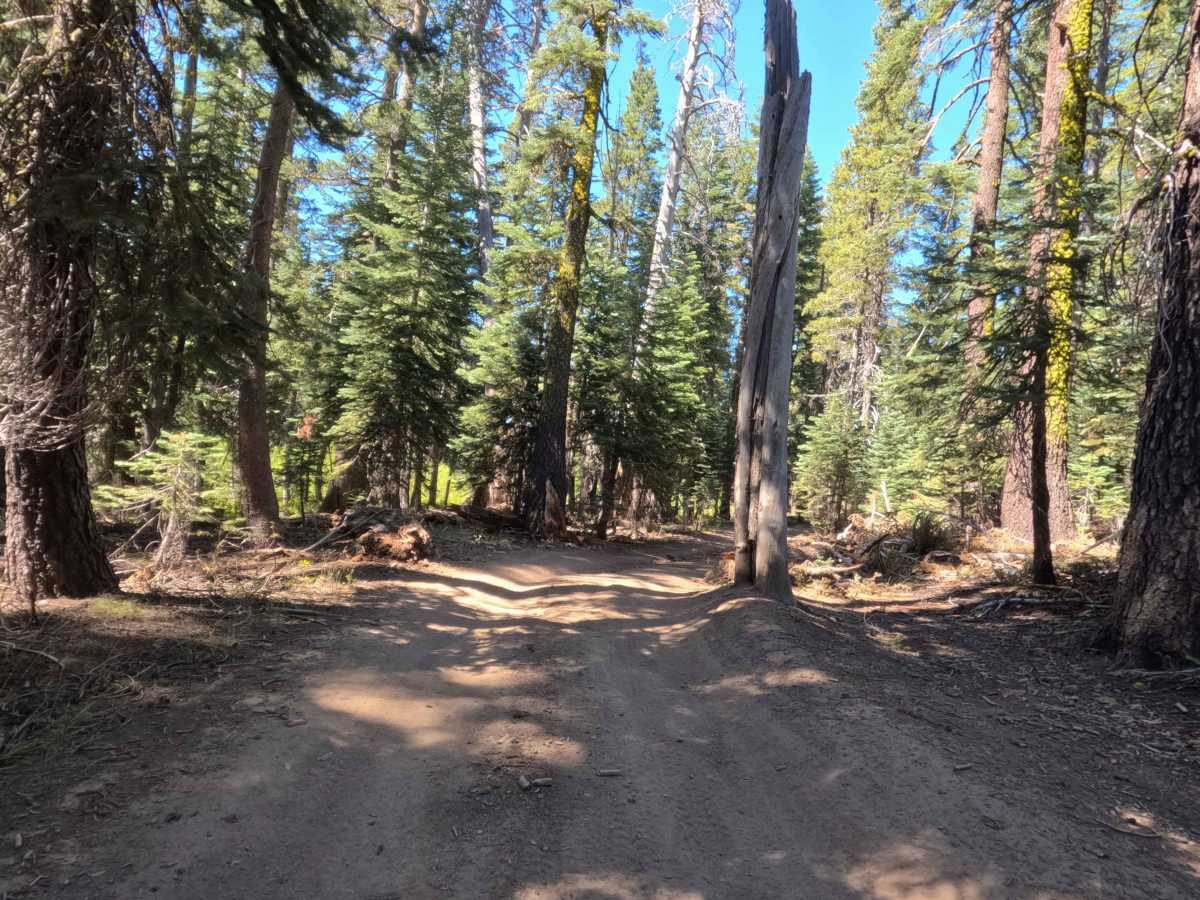 Tamarack Road - FS 31097 photo 4