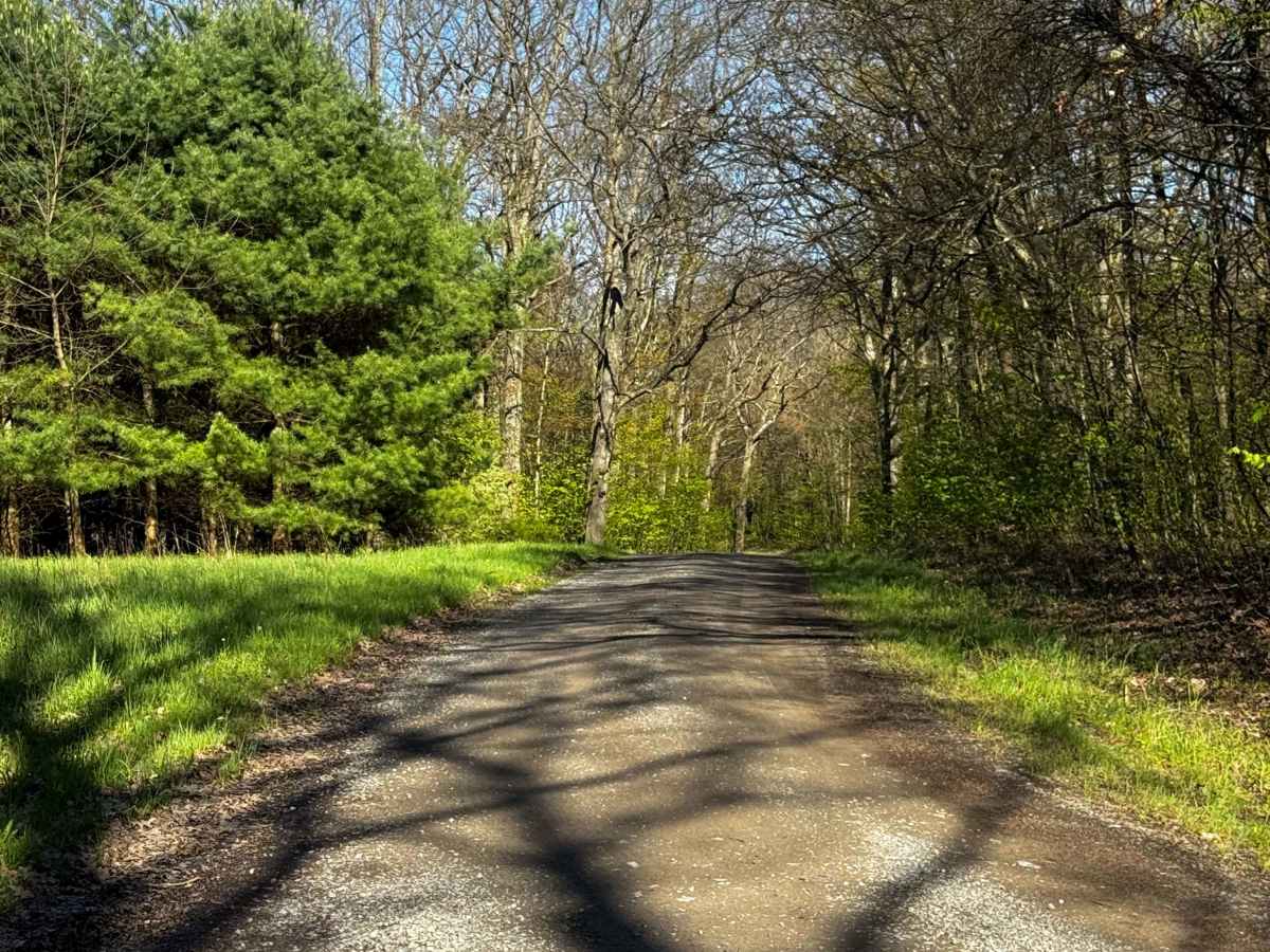 Colby Road photo 3