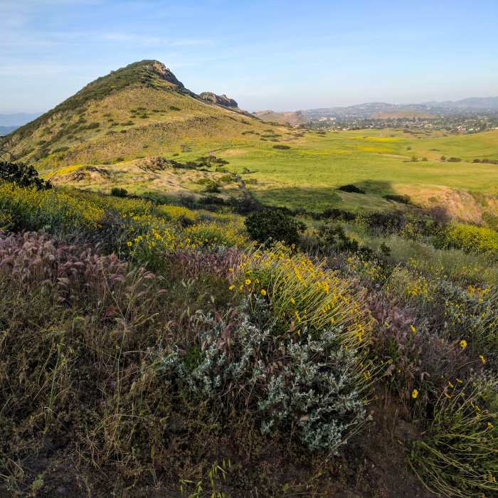 Near Paradise Falls - Long Loop