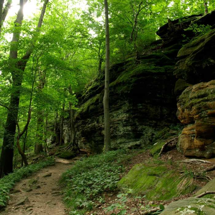 Near Ledges to Pine Grove Loop