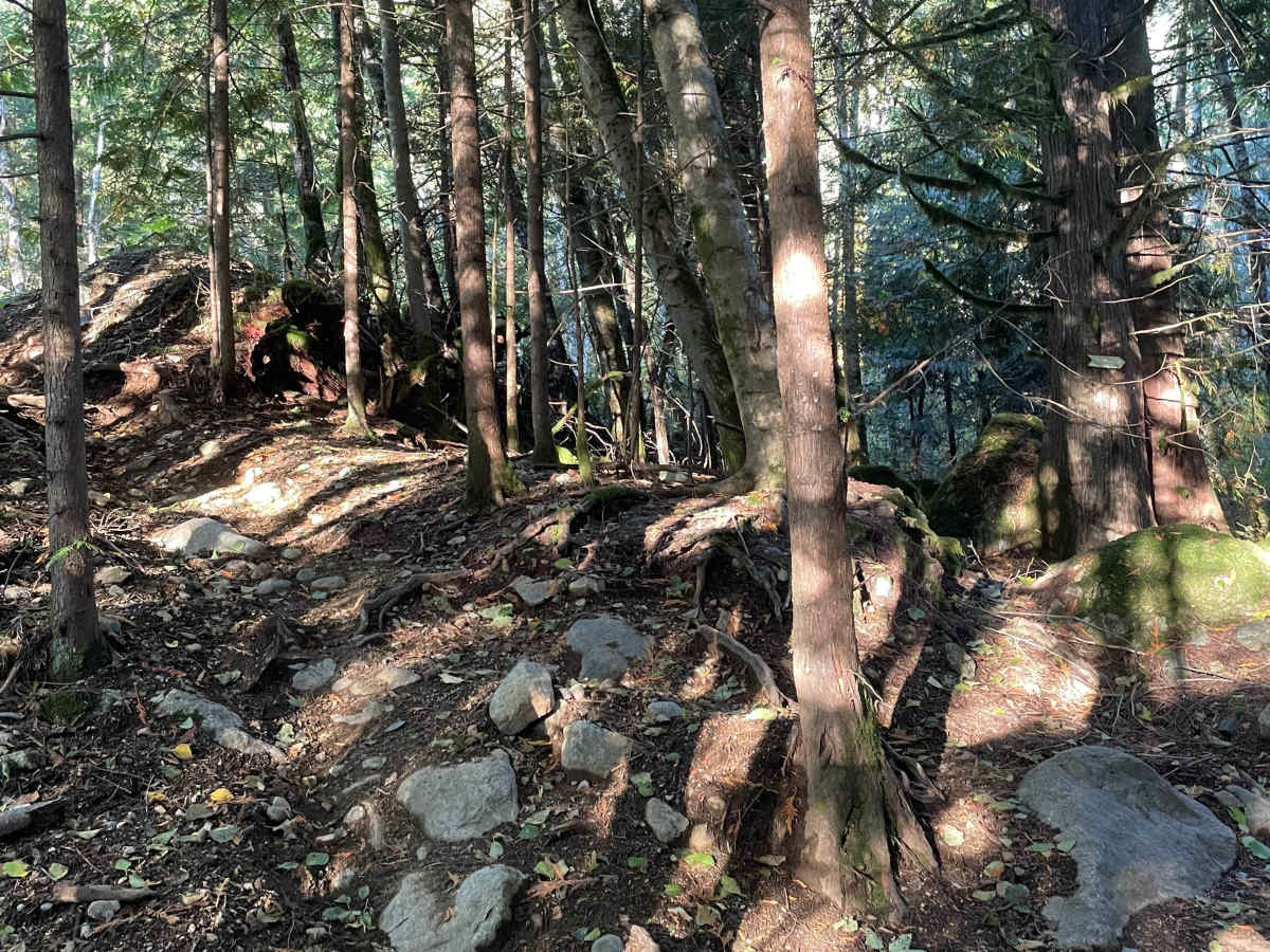 Run Eddy Run Mini Link trail photo
