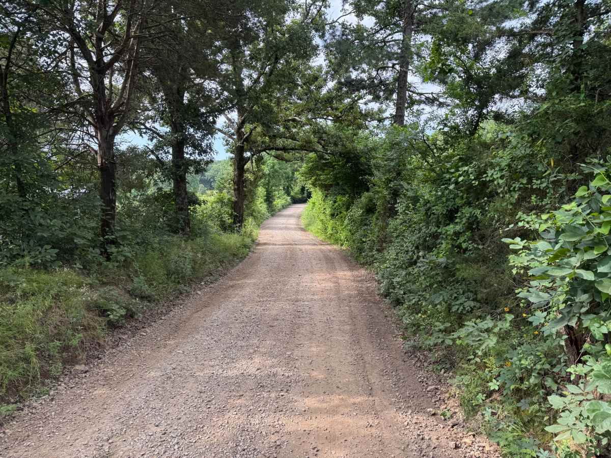 North Web Road trail photo
