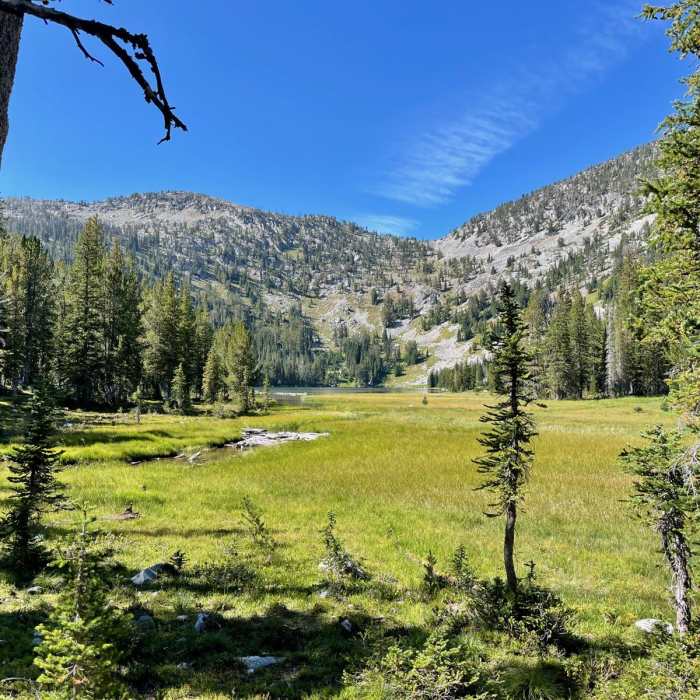 Near Continental Divide Trail: Montana-Idaho Section 11
