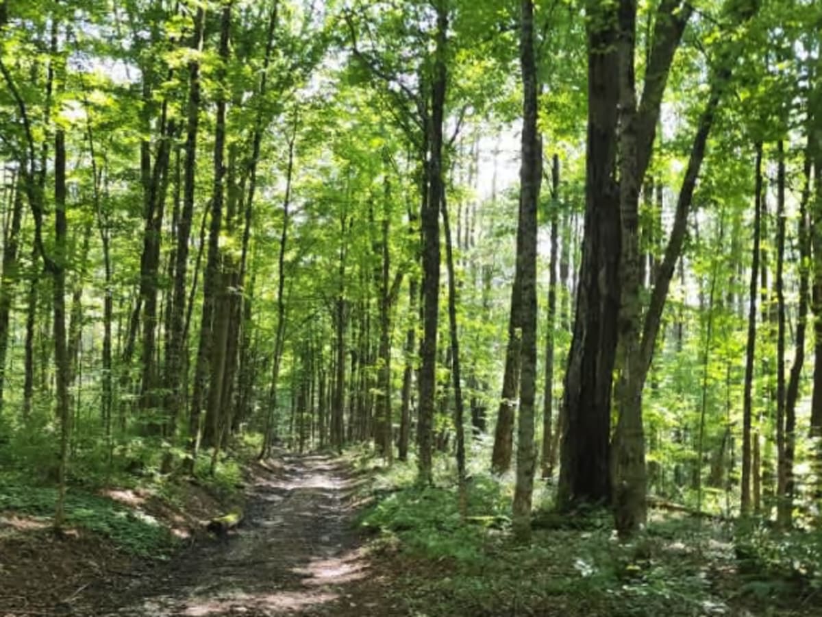 Boody Hill Trail photo 5
