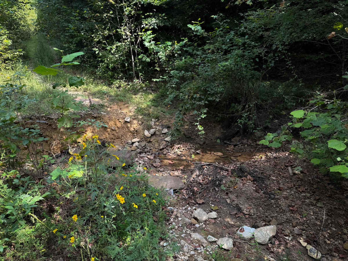 Herman Lowe Trail 25 photo 3