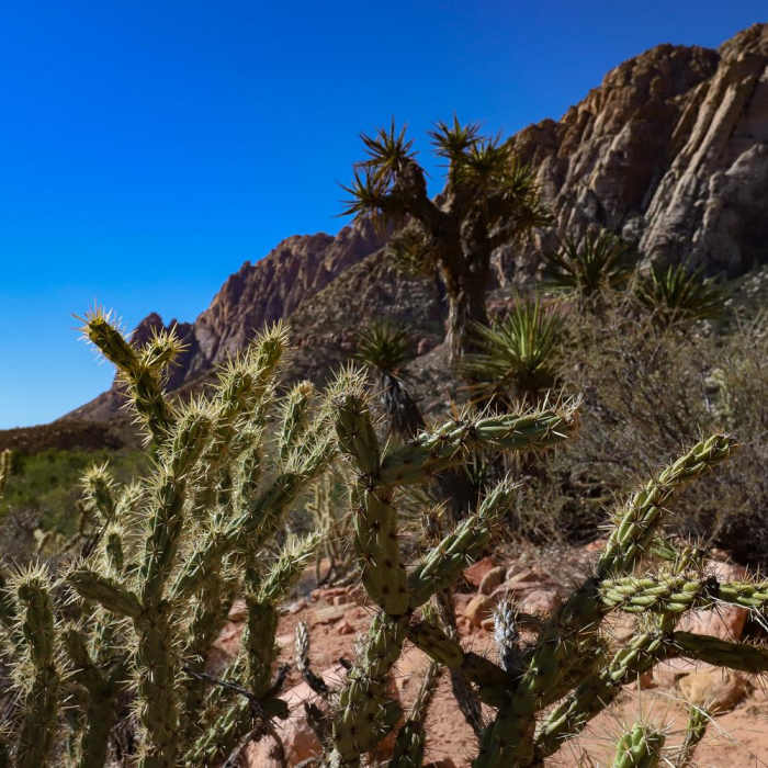 Near Sandstone Canyon Loop