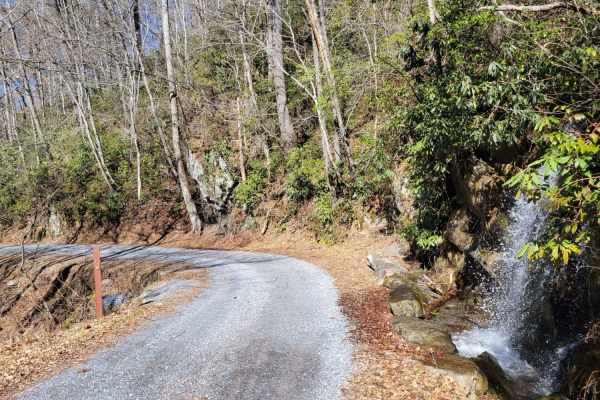 Cataloochee Turnpike to Big Creek