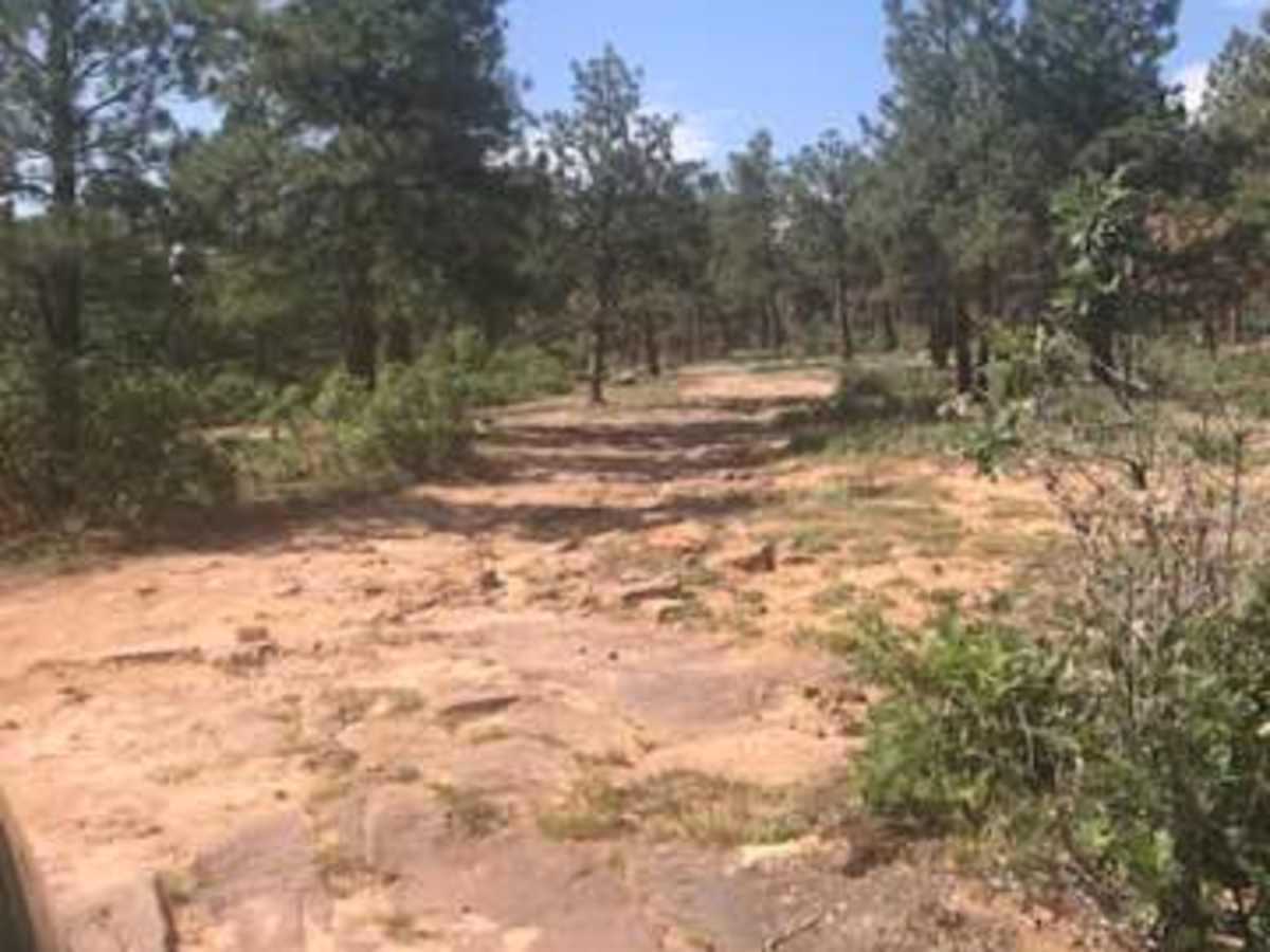 Sims Mesa/Delores Creek photo 2