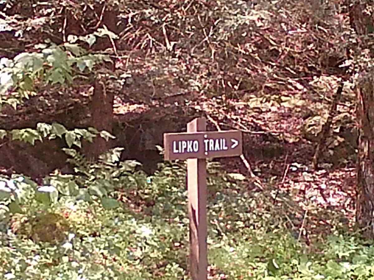 Pine Creek Hollow Road photo 3