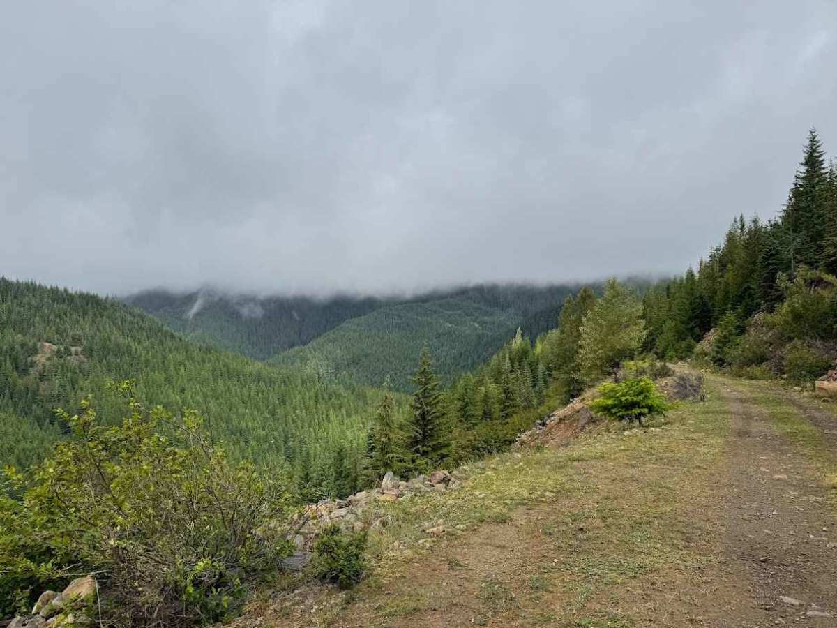 Intake Creek - FS 5220 photo 2