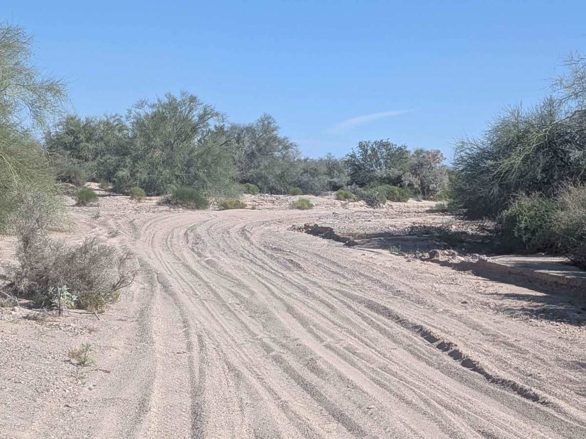 EC1179 trail photo