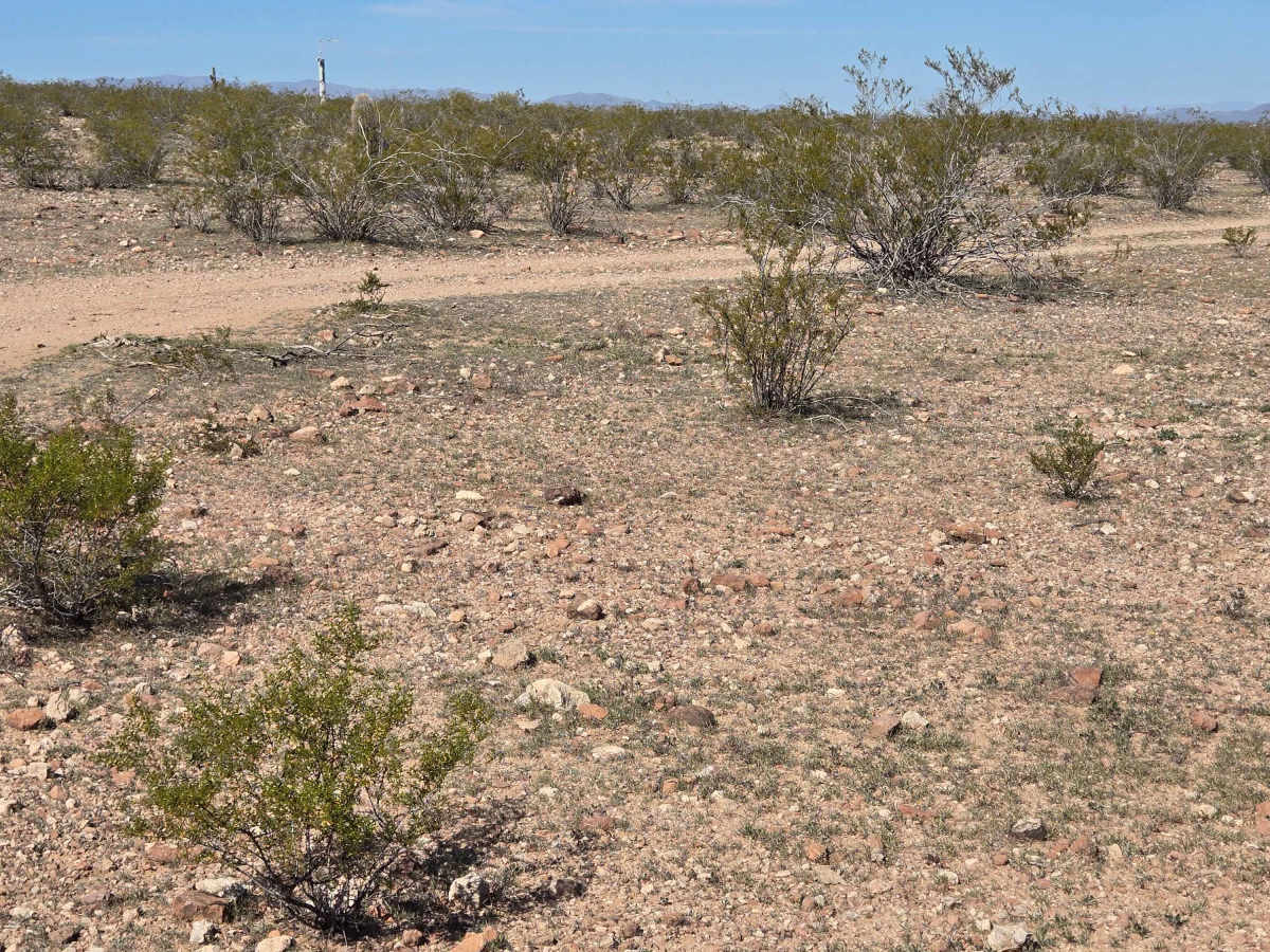 Cut Across the Grassy Plain (Trail 41056/9104) trail photo
