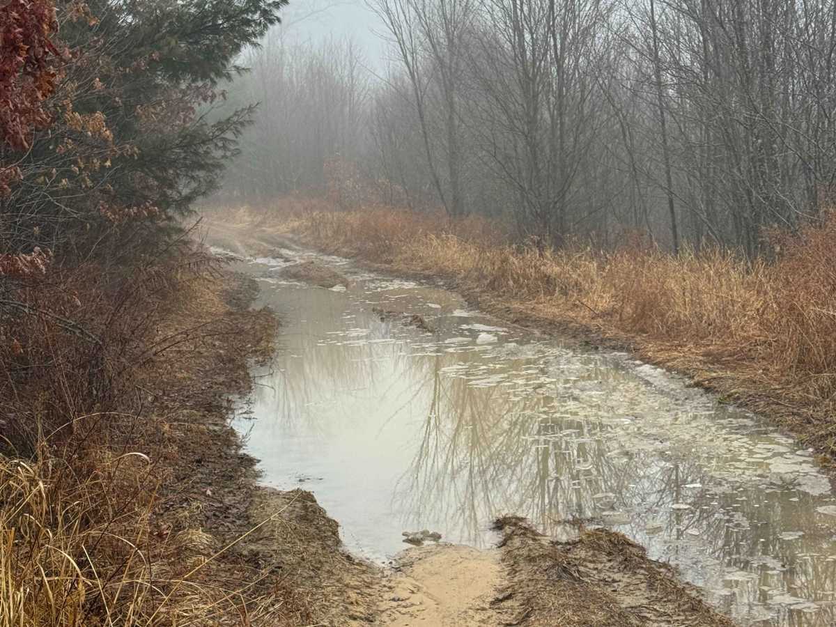 Eagleton Run Blue Trail photo 2