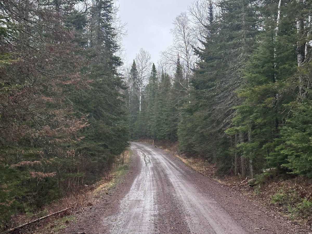 Pine Mountain Road photo 4