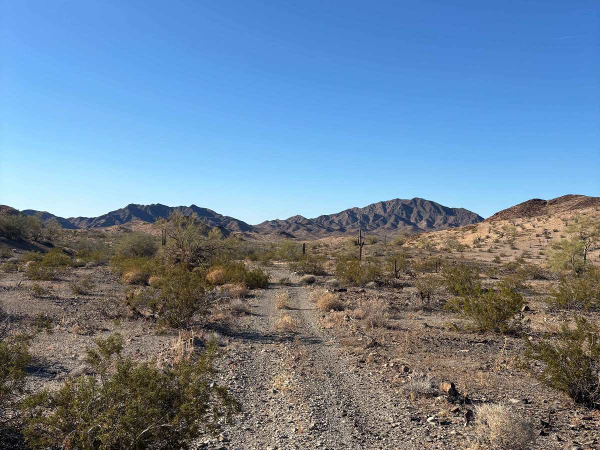 BLM 0129 photo 4