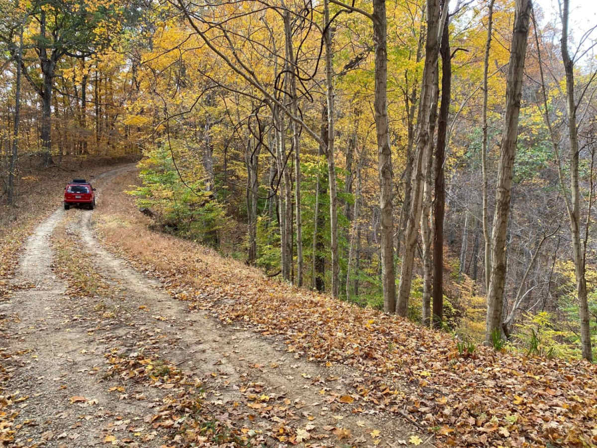 Gale Trail Road FSR 272 photo 6