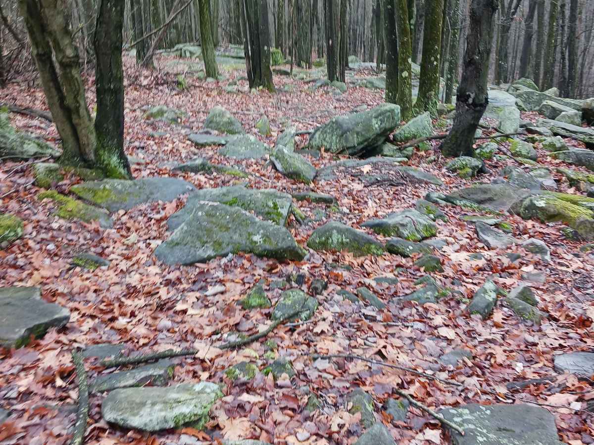 OHV 36 - Rock Run Recreation Area trail photo