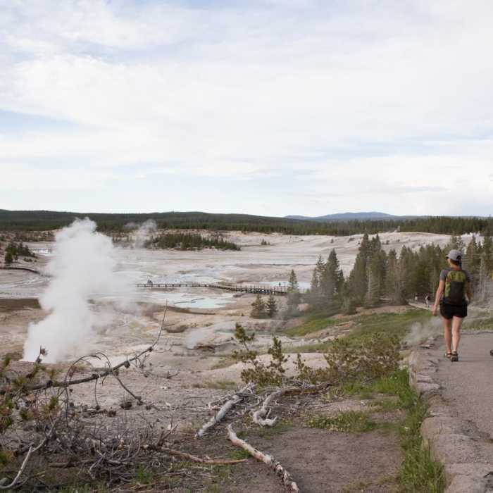Near Norris Geyser Basin