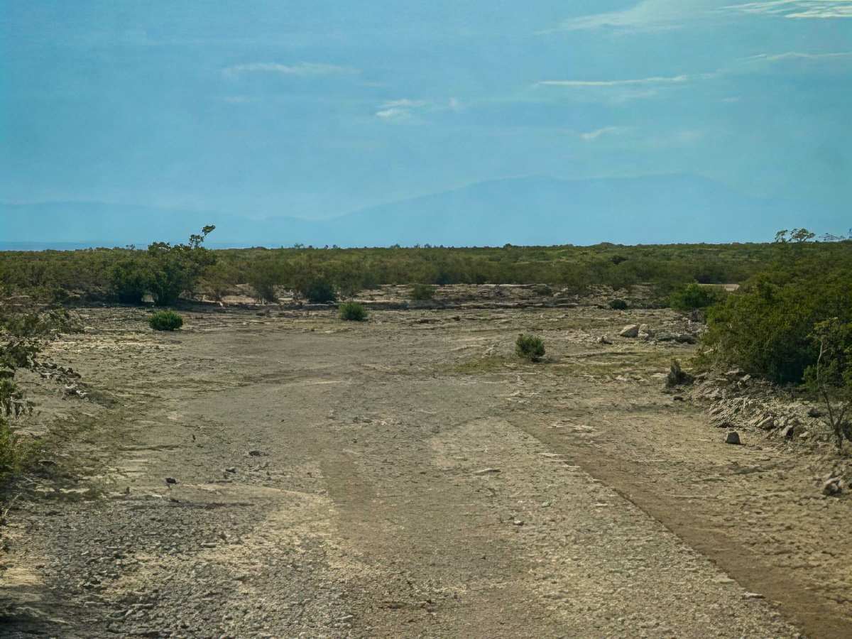 SS1156 trail photo