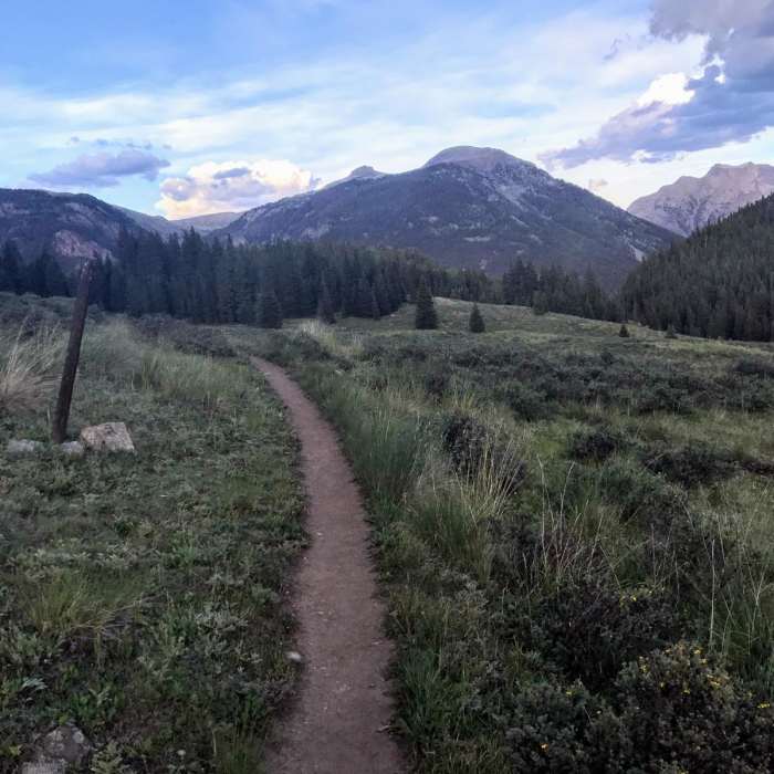 Near Molas Pass Trail #665