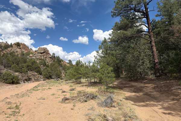  Turkey Gulch Road - BLM 6220