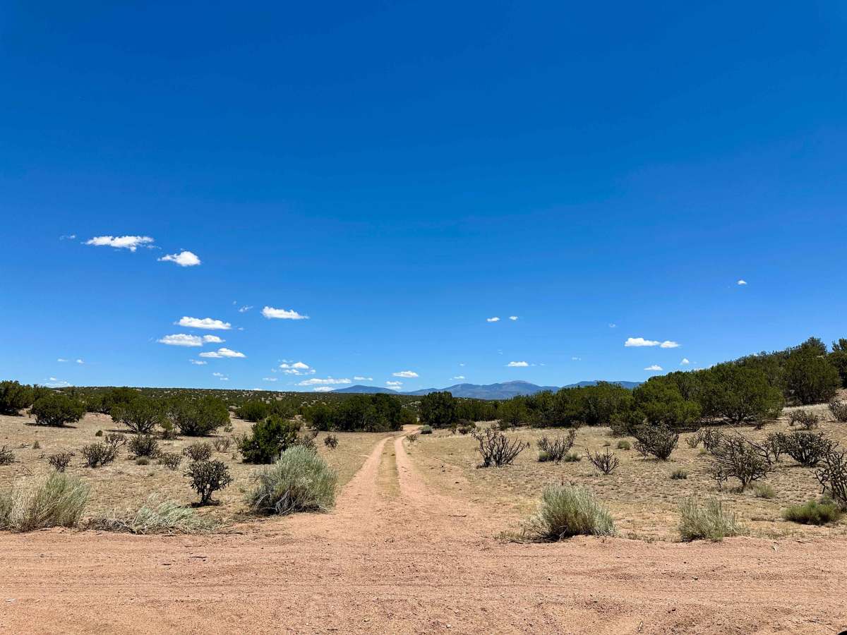 Dispersed Camping Trail photo 4