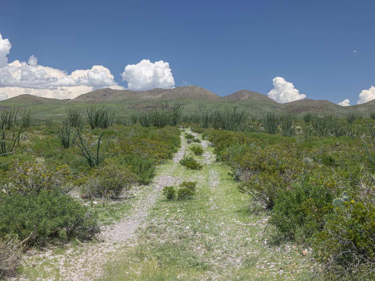 BBRSP Lower Alamito Road photo 5